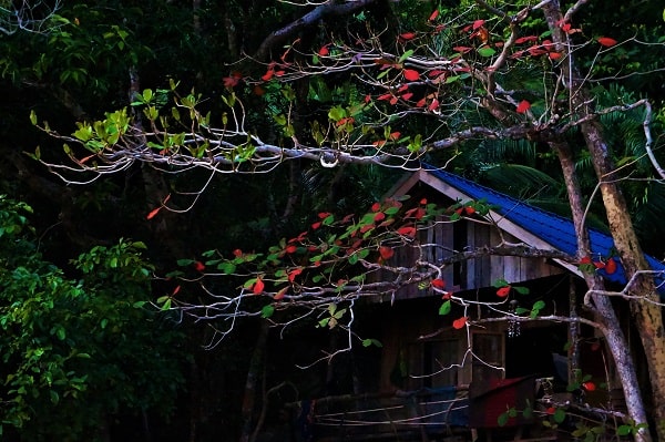 ko Payam, Thaïlande, Thailand