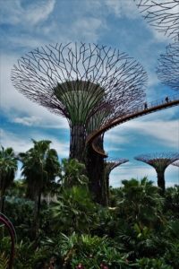 garden by the bay, Singapore, Singapour