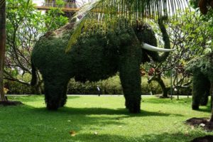 garden by the bay, Singapore, Singapour