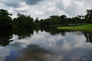 Botanic garden, Singapore, SIngapour